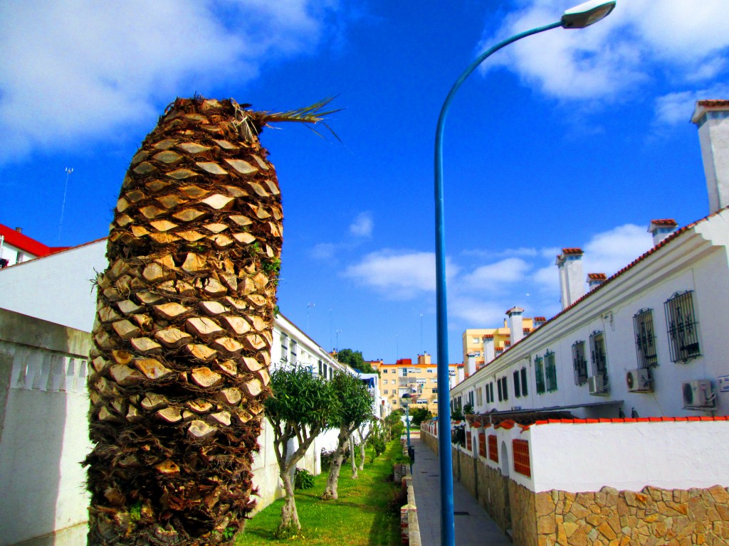 Foto: Calle Barcaza - San Fernando (Cádiz), España