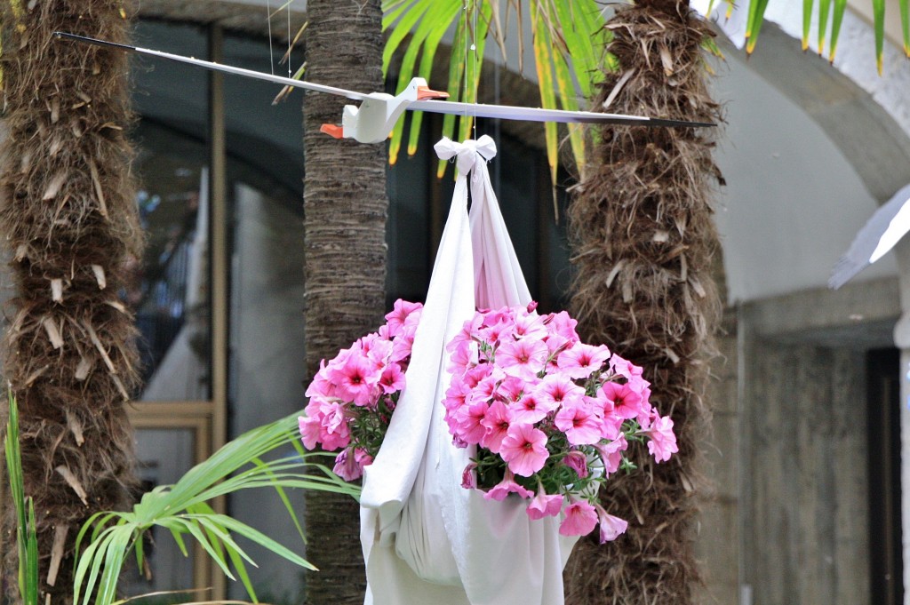 Foto: Exposición Girona Temps de Flors - Girona (Cataluña), España