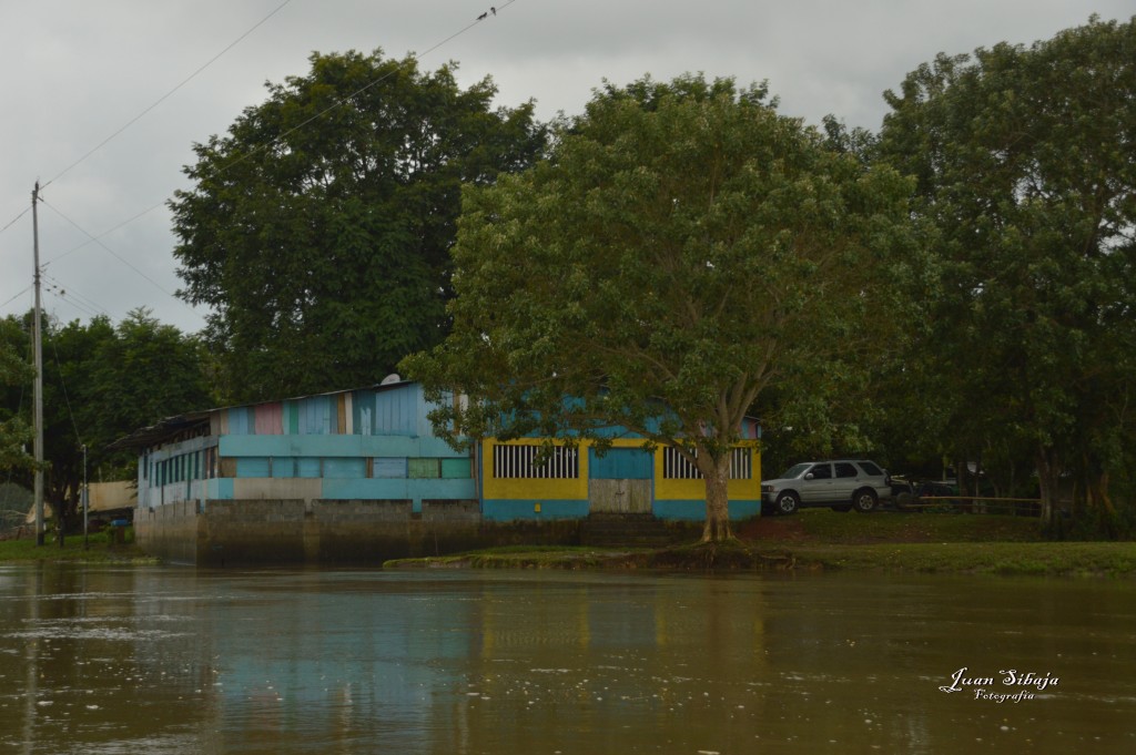 Foto: Refugio de Vida Silvestre - Caño Negro (Alajuela), Costa Rica