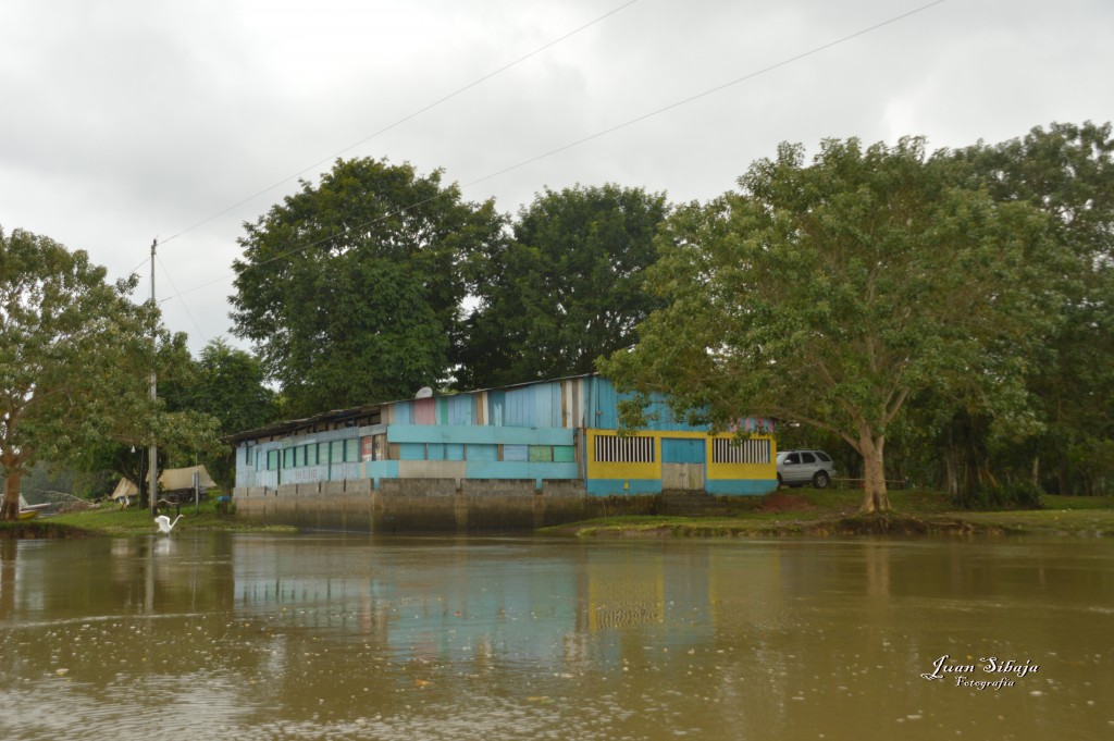 Foto: Refugio de Vida Silvestre - Caño Negro (Alajuela), Costa Rica