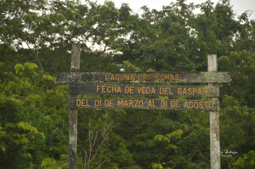 Foto: Refugio de Vida Silvestre - Caño Negro (Alajuela), Costa Rica