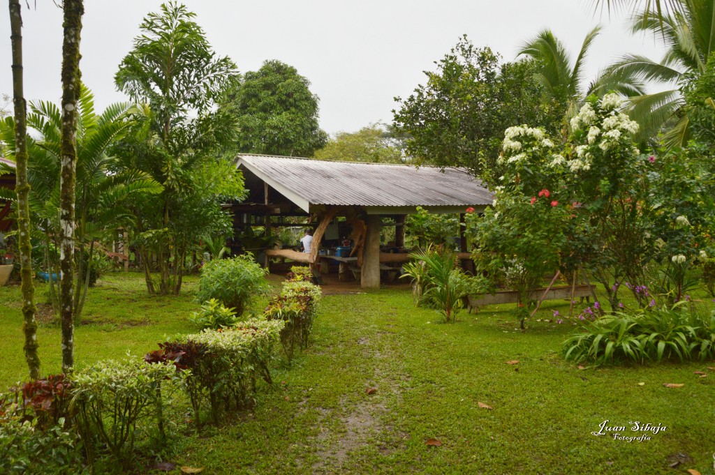 Foto: Refugio de Vida Silvestre - Caño Negro (Alajuela), Costa Rica