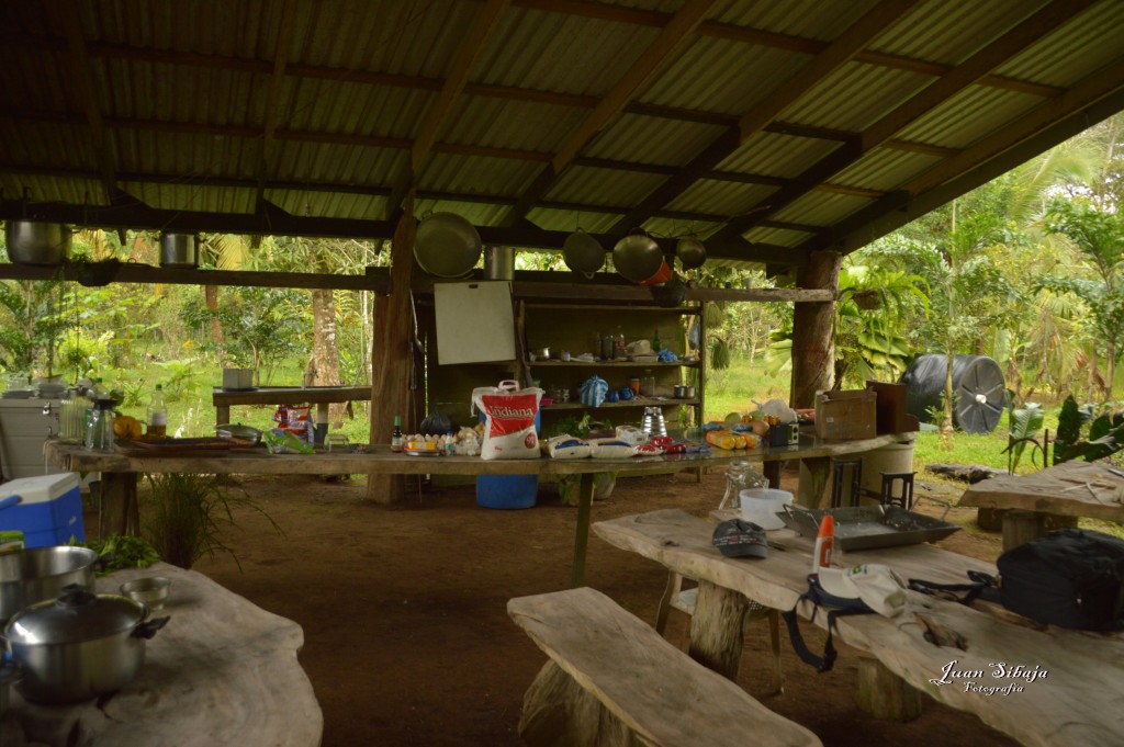 Foto: Refugio de Vida Silvestre - Caño Negro (Alajuela), Costa Rica