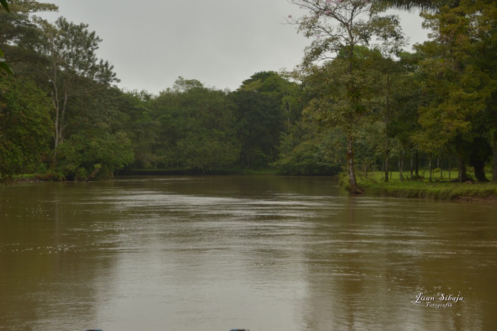 Foto: Refugio de Vida Silvestre - Caño Negro (Alajuela), Costa Rica