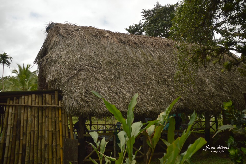 Foto: Refugio de Vida Silvestre - Caño Negro (Alajuela), Costa Rica