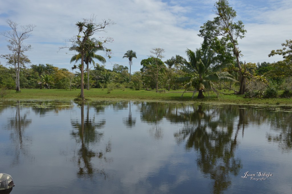 Foto: Refugio de Vida Silvestre - Caño Negro (Alajuela), Costa Rica