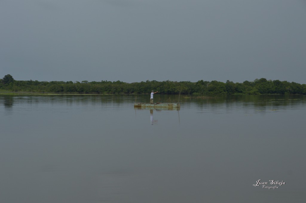 Foto: Refugio de Vida Silvestre - Caño Negro (Alajuela), Costa Rica