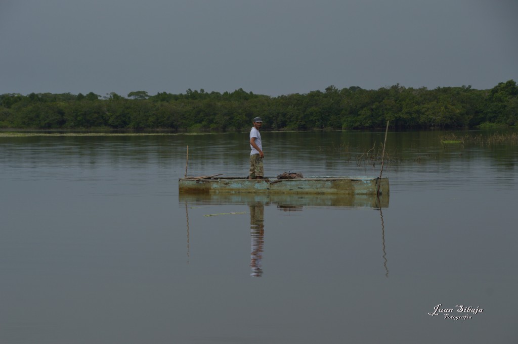 Foto: Refugio de Vida Silvestre - Caño Negro (Alajuela), Costa Rica