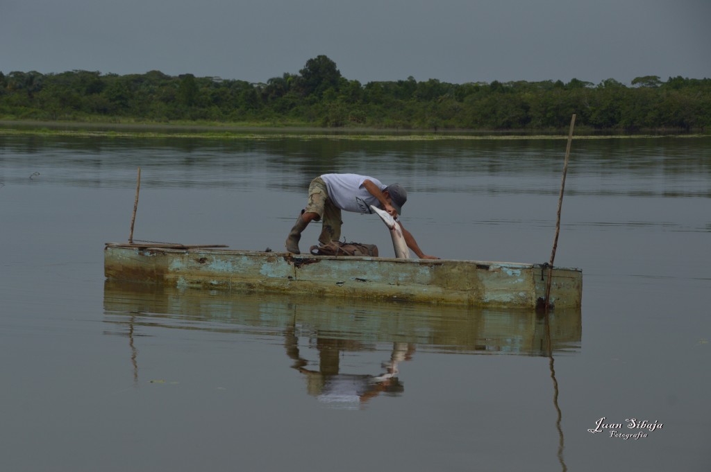 Foto: Refugio de Vida Silvestre - Caño Negro (Alajuela), Costa Rica