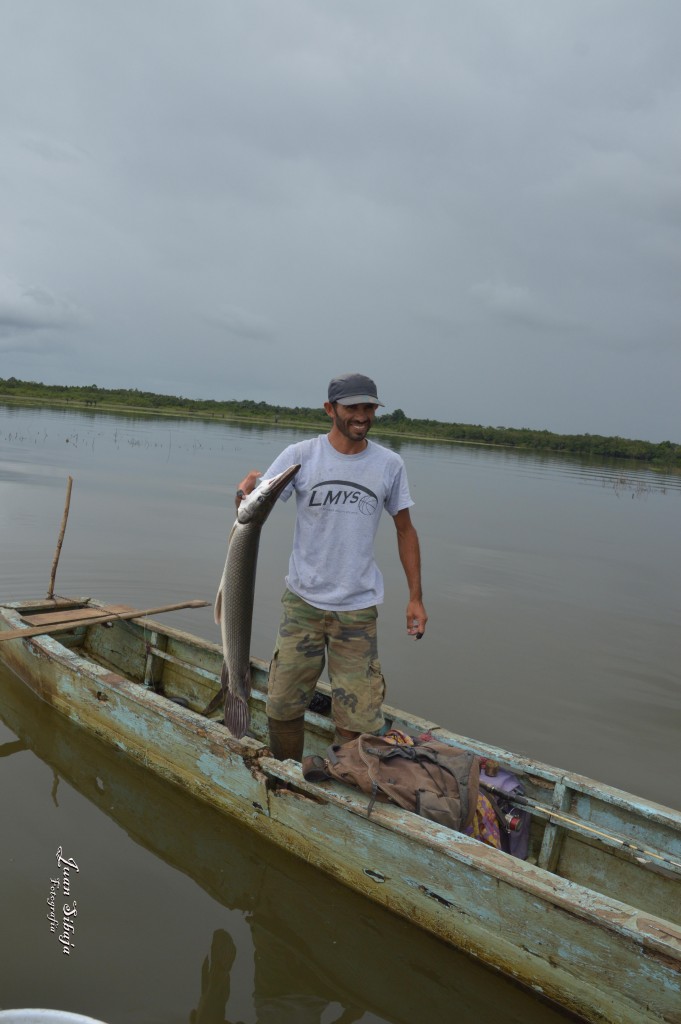 Foto: Refugio de Vida Silvestre - Caño Negro (Alajuela), Costa Rica