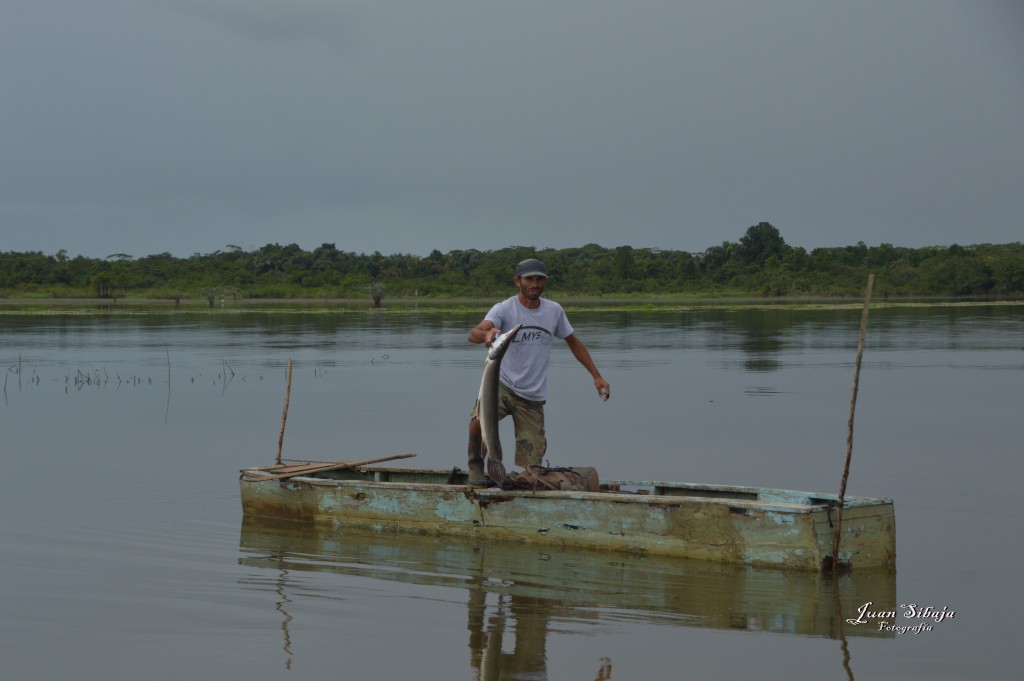 Foto: Refugio de Vida Silvestre - Caño Negro (Alajuela), Costa Rica