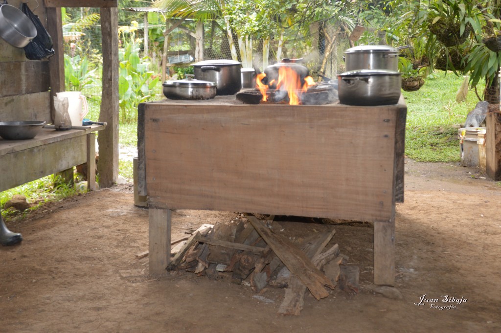 Foto: Refugio de Vida Silvestre - Caño Negro (Alajuela), Costa Rica