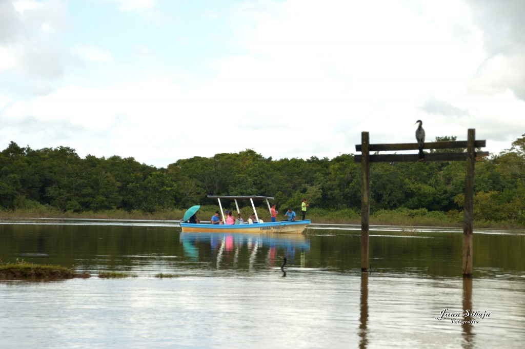 Foto: Refugio de Vida Silvestre - Caño Negro (Alajuela), Costa Rica