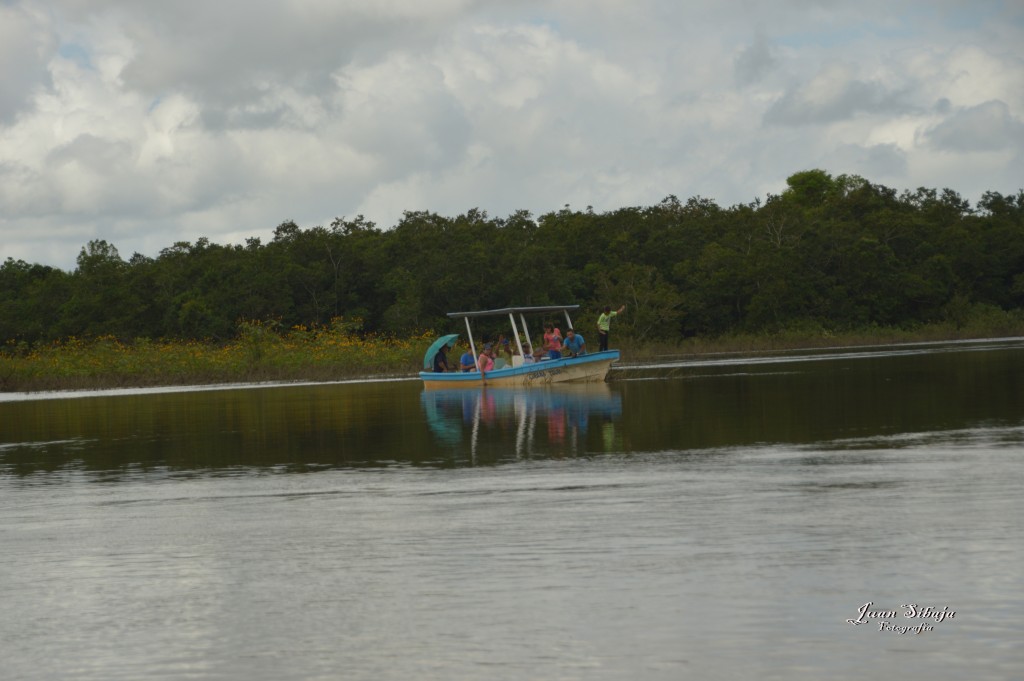 Foto: Refugio de Vida Silvestre - Caño Negro (Alajuela), Costa Rica