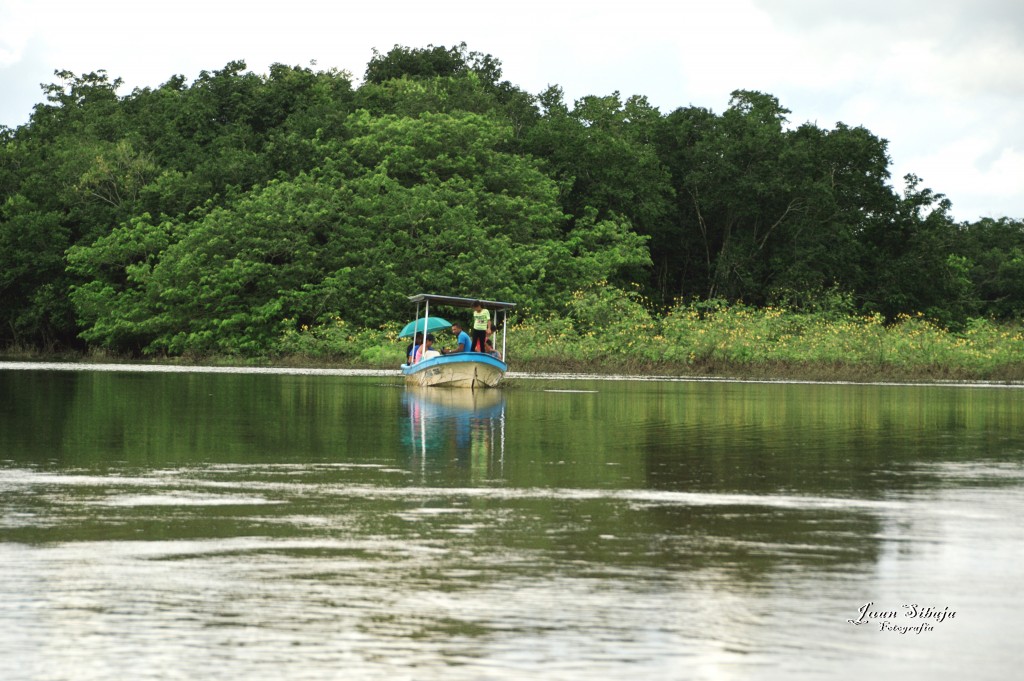 Foto: Refugio de Vida Silvestre - Caño Negro (Alajuela), Costa Rica