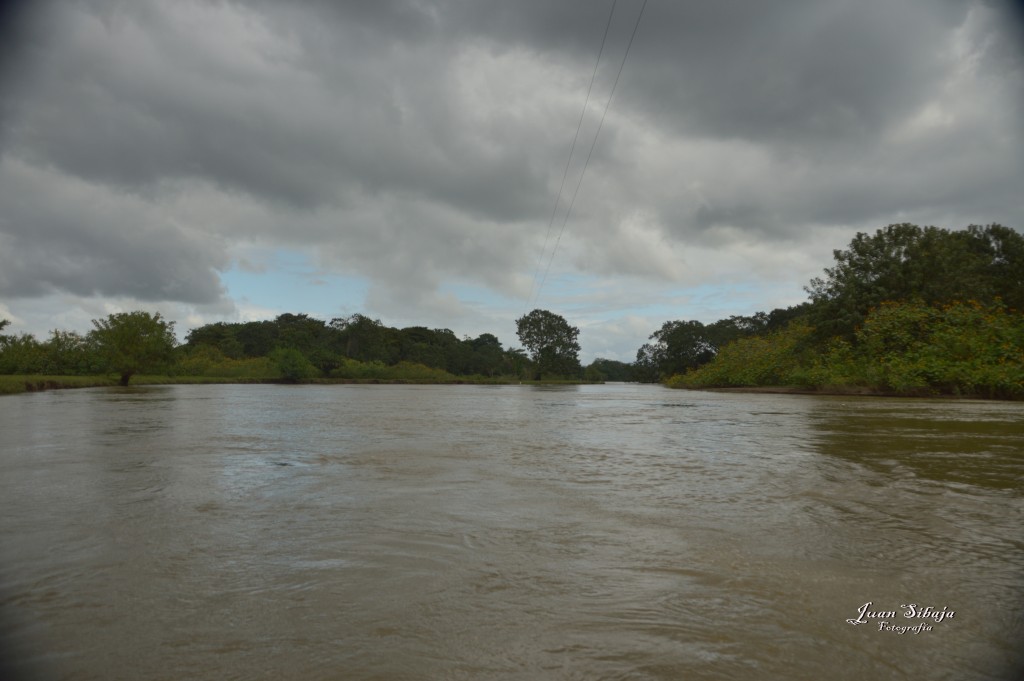 Foto: Refugio de Vida Silvestre - Caño Negro (Alajuela), Costa Rica