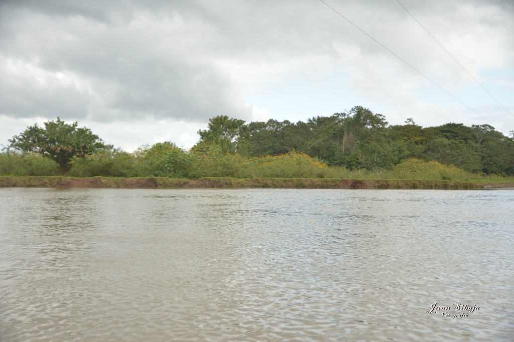 Foto: Refugio de Vida Silvestre - Caño Negro (Alajuela), Costa Rica