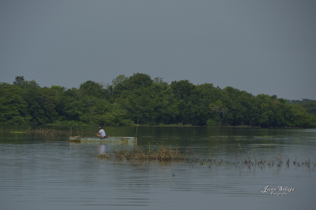 Foto: Refugio de Vida Silvestre - Caño Negro (Alajuela), Costa Rica