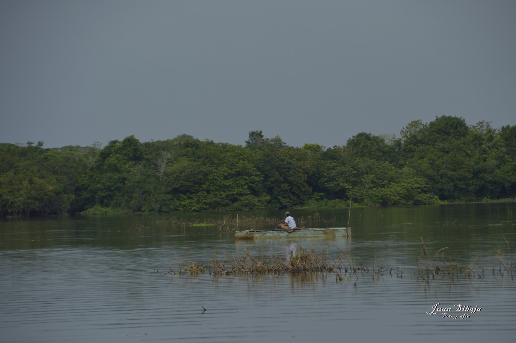 Foto: Refugio de Vida Silvestre - Caño Negro (Alajuela), Costa Rica