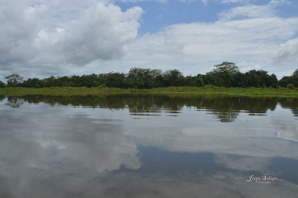 Foto: Refugio de Vida Silvestre - Caño Negro (Alajuela), Costa Rica