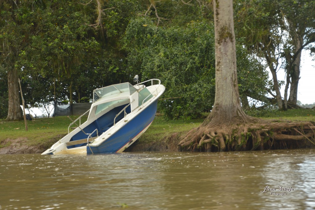 Foto: Refugio de Vida Silvestre - Caño Negro (Alajuela), Costa Rica