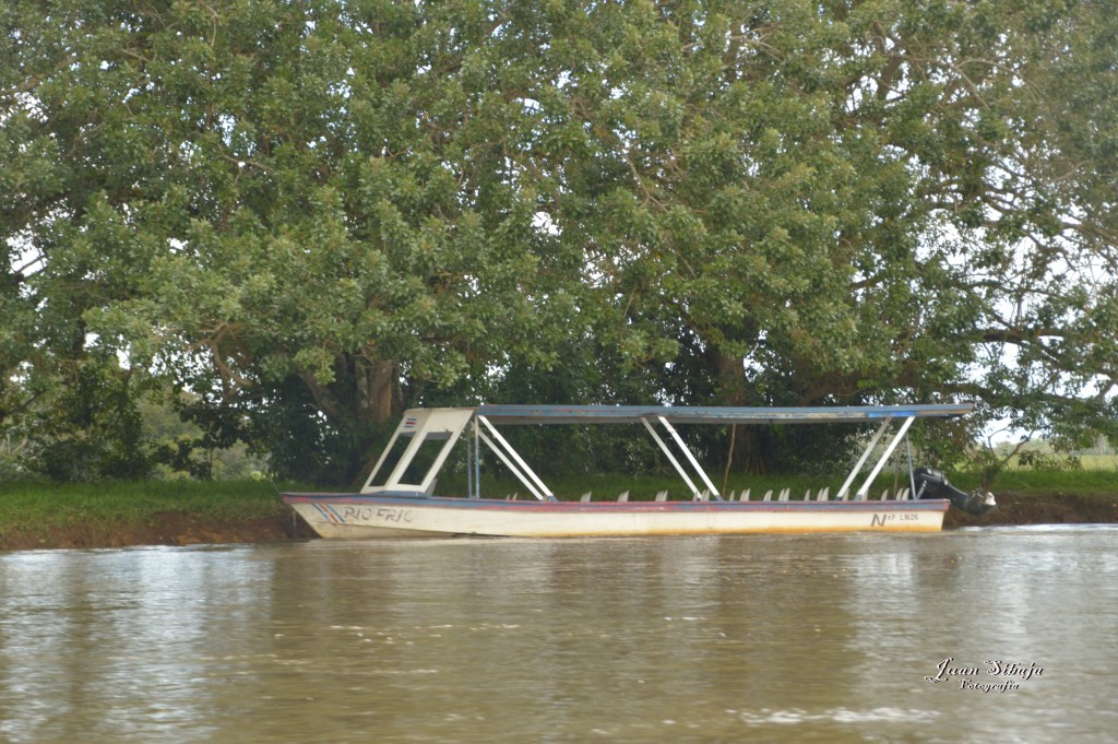 Foto: Refugio de Vida Silvestre - Caño Negro (Alajuela), Costa Rica