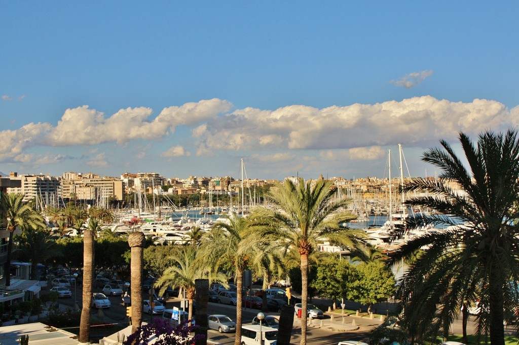 Foto: Paseo Marítimo - Palma de Mallorca (Illes Balears), España