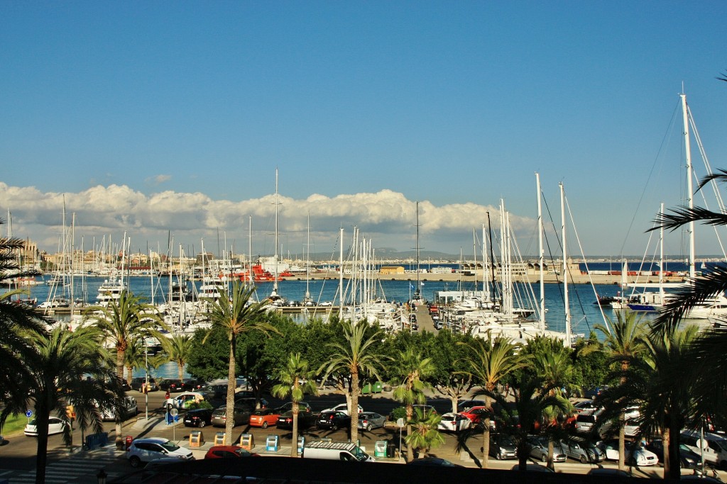 Foto: Paseo Marítimo - Palma de Mallorca (Illes Balears), España