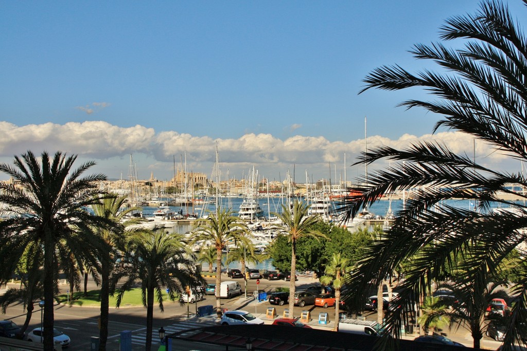 Foto: Paseo Marítimo - Palma de Mallorca (Illes Balears), España