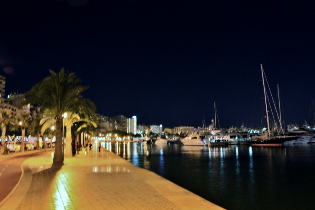 Foto: Paseo Marítimo - Palma de Mallorca (Illes Balears), España