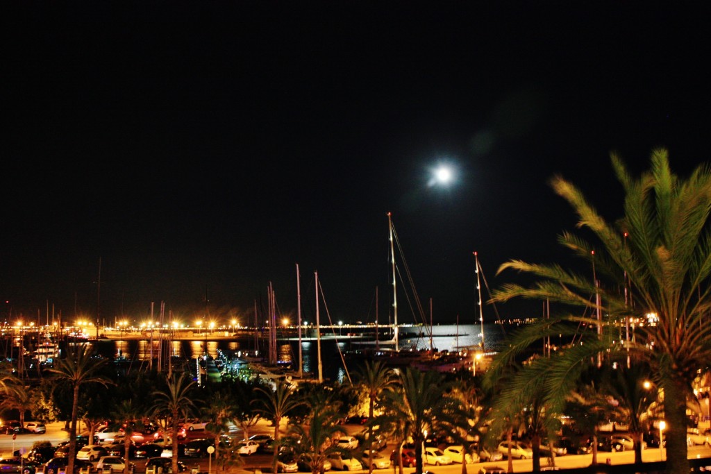 Foto: Paseo Marítimo - Palma de Mallorca (Illes Balears), España