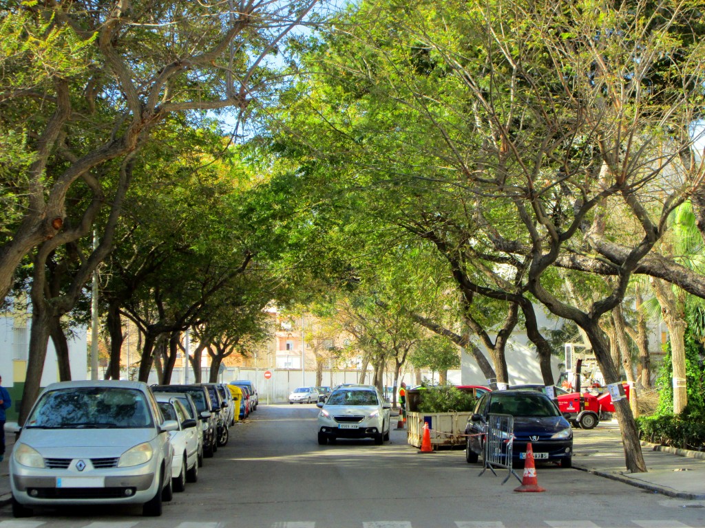 Foto: Calle Guadalmesí - Cádiz (Andalucía), España