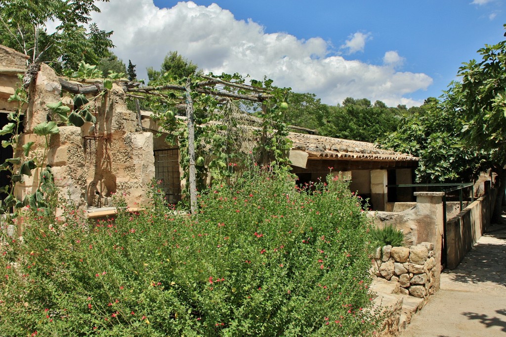 Foto: Els Calderers - Sant Joan (Mallorca) (Illes Balears), España