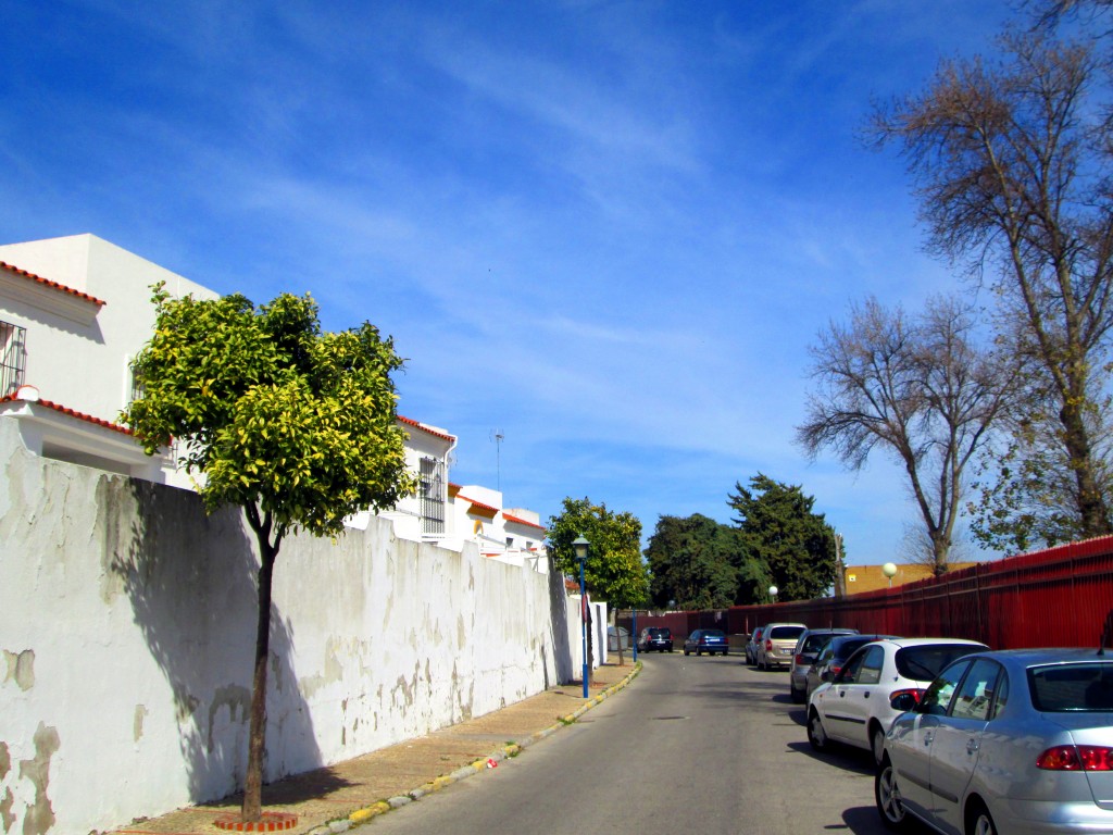 Foto: Calle Olivar de Rebolledo - San Fernando (Cádiz), España