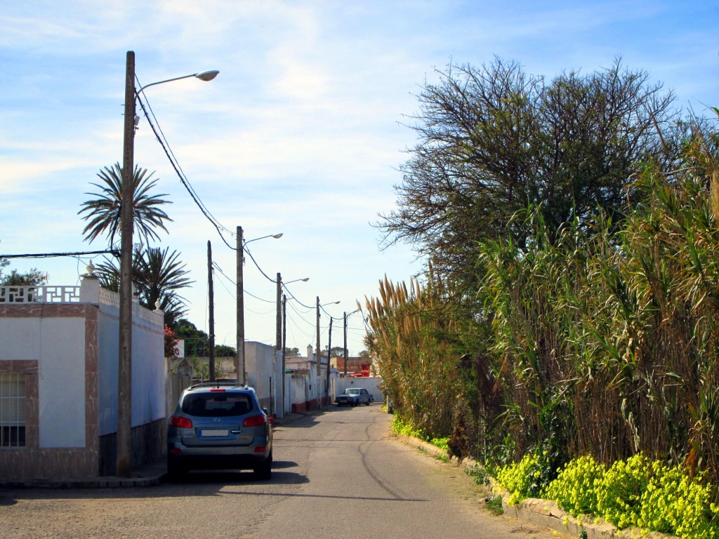 Foto: Callejón Reverbero - San Fernando (Cádiz), España