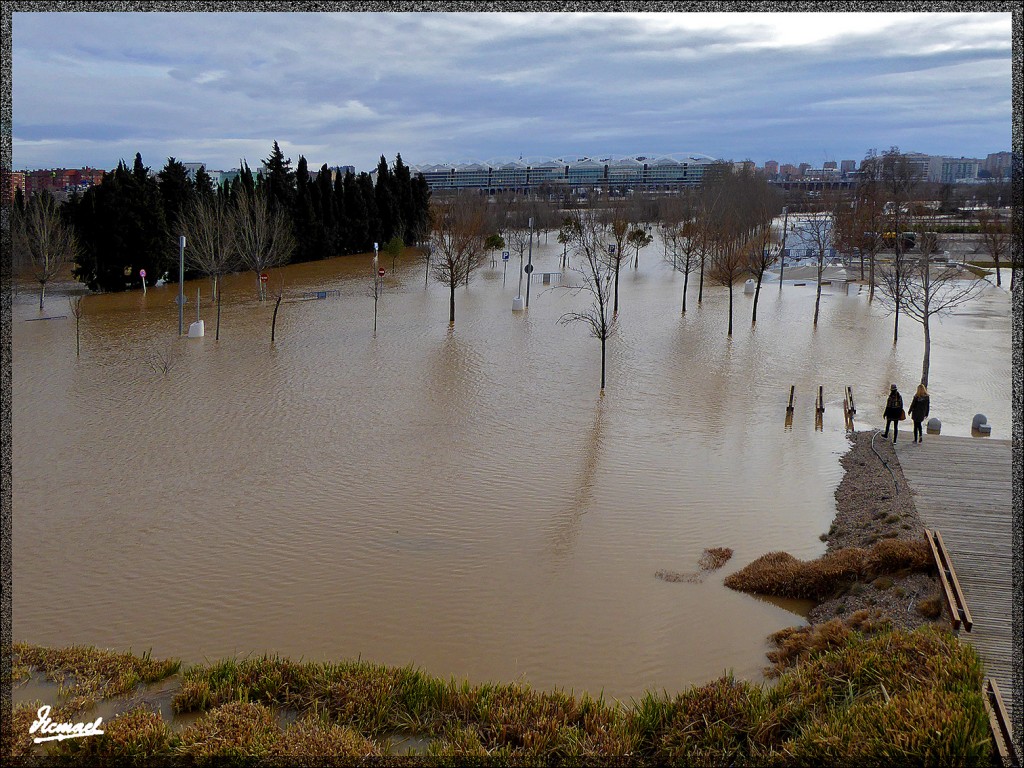 Foto: 150228-13 EL EBRO EN RANILLAS - Zaragoza (Aragón), España