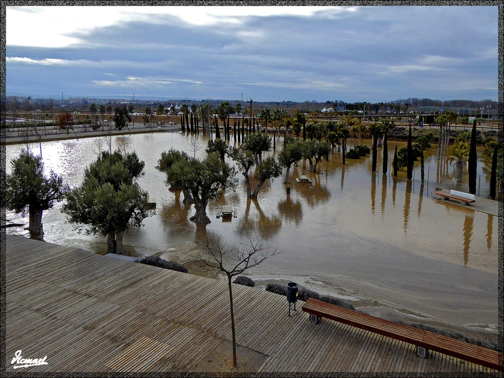 Foto: 150228-14 EL EBRO EN RANILLAS - Zaragoza (Aragón), España