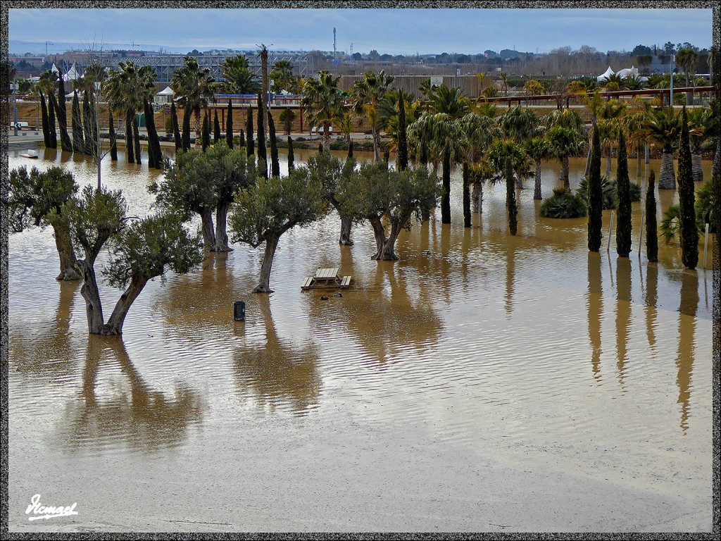 Foto: 150228-15 EL EBRO EN RANILLAS - Zaragoza (Aragón), España