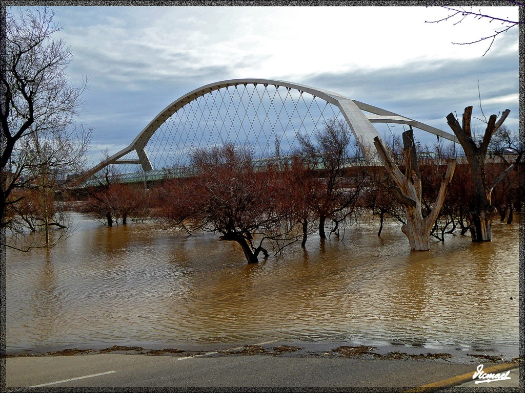 Foto: 150228-17 EL EBRO EN RANILLAS - Zaragoza (Aragón), España