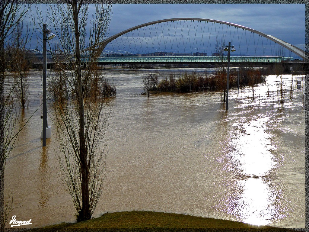 Foto: 150228-20 EL EBRO EN RANILLAS - Zaragoza (Aragón), España