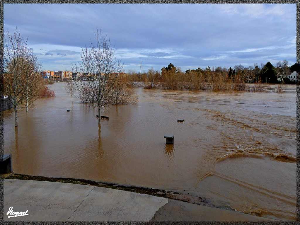 Foto: 150228-23 EL EBRO EN RANILLAS - Zaragoza (Aragón), España