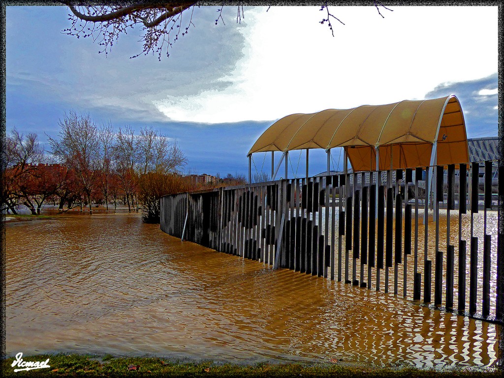 Foto: 150228-32 EL EBRO EN RANILLAS - Zaragoza (Aragón), España