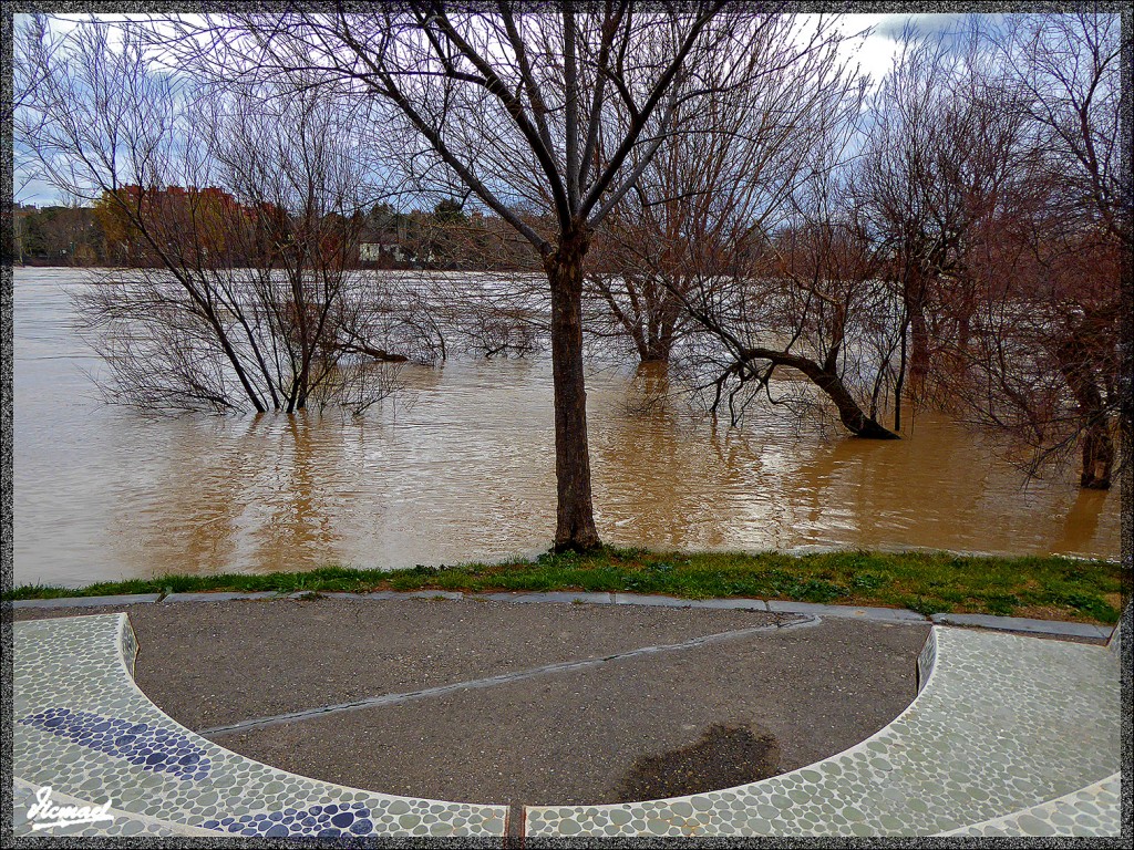 Foto: 150228-35 EL EBRO EN RANILLAS - Zaragoza (Aragón), España