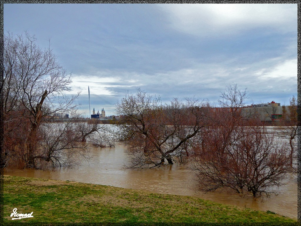 Foto: 150228-38 EL EBRO EN RANILLAS - Zaragoza (Aragón), España