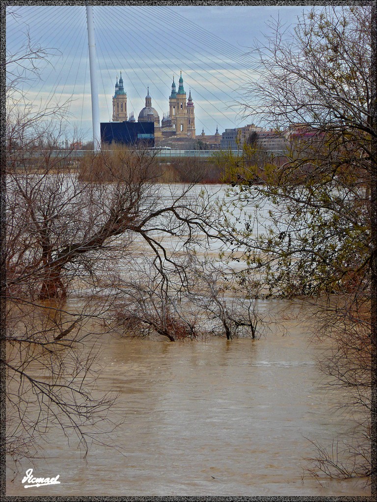 Foto: 150228-39 EL EBRO EN RANILLAS - Zaragoza (Aragón), España