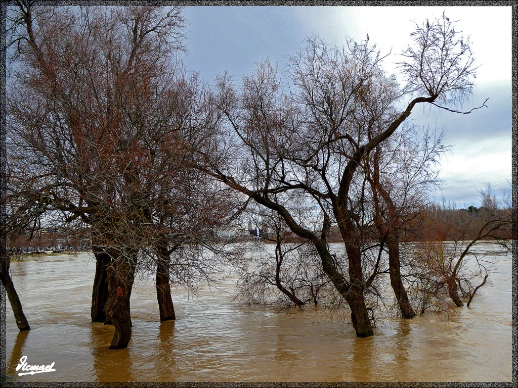 Foto: 150228-42 EL EBRO EN RANILLAS - Zaragoza (Aragón), España