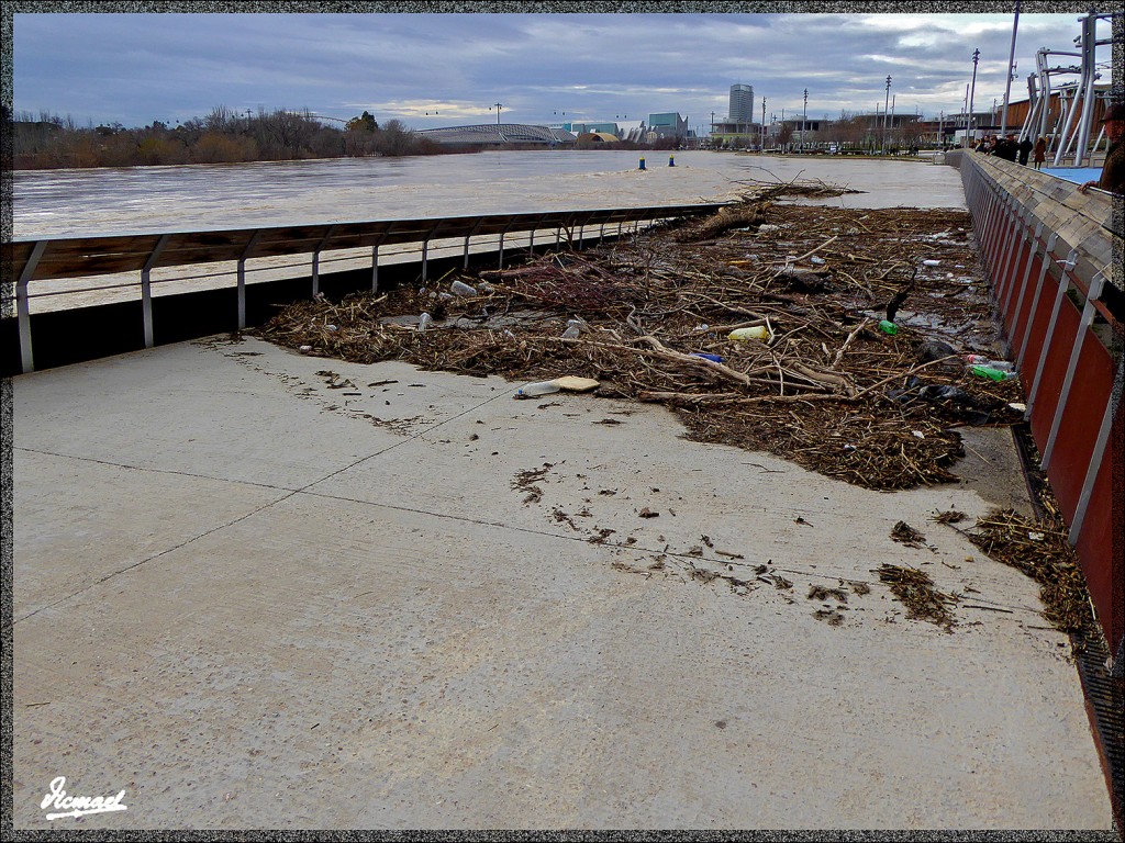 Foto: 150228-51 EL EBRO EN RANILLAS - Zaragoza (Aragón), España