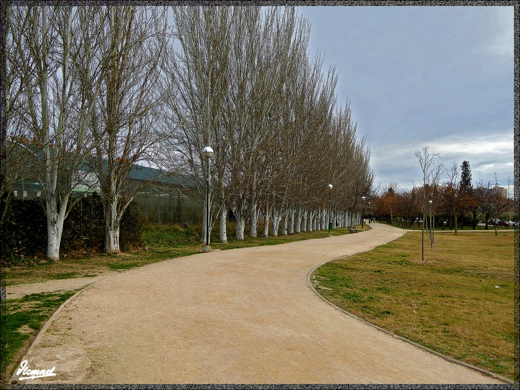 Foto: 150228-54 EL EBRO EN RANILLAS - Zaragoza (Aragón), España