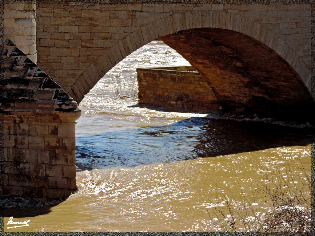 Foto: 150302-71 EBRo ENTRE PUENTES - Zaragoza (Aragón), España