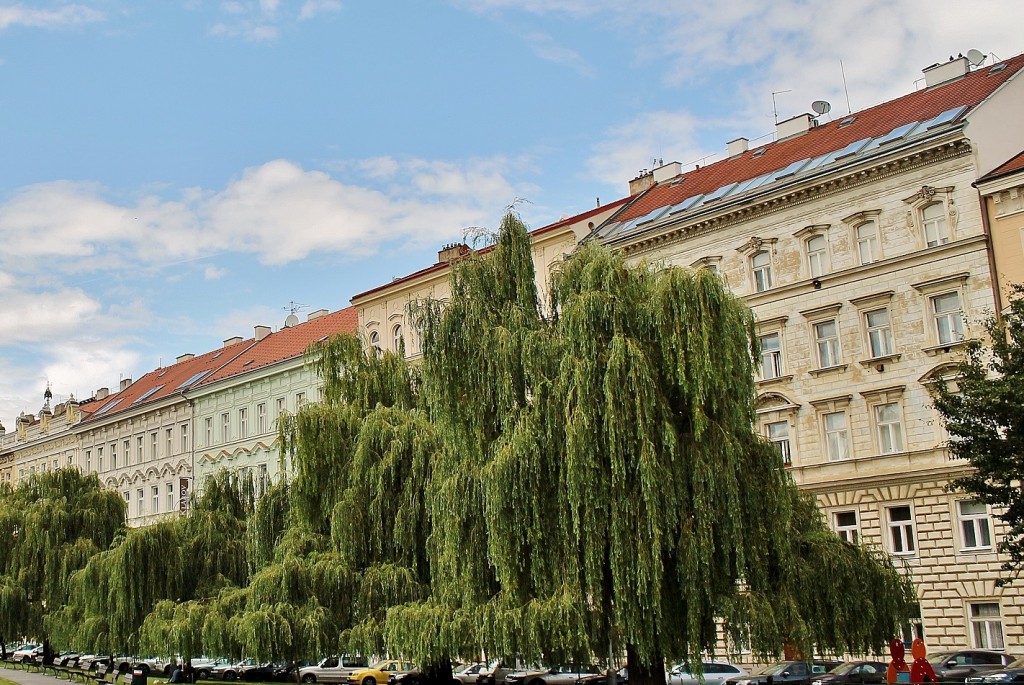 Foto: Centro histórico - Praga (Praha) (Hlavní Mesto Praha), República Checa